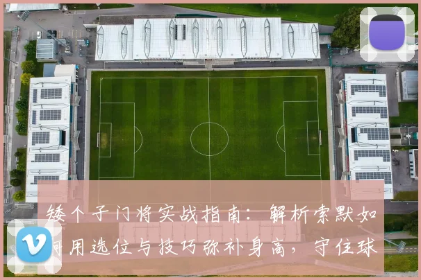矮个子门将实战指南：解析索默如何用选位与技巧弥补身高，守住球门