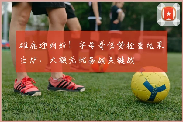 雄鹿迎利好!字母哥伤势检查结果出炉,大额无忧备战关键战